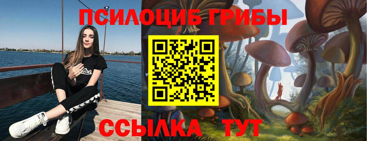 Снежинск  Галлюциногенные грибы Cubensis  Вход с VPN  Псилоцибиновые грибы Magic Shrooms 