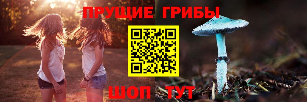 Псилоцибиновые грибы мицелий Снежинск